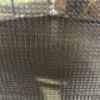Obrazek Trampolina Comfort z drabinką 366cm zielona 