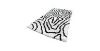 Obrazek Dywan Shaggy Sonic 0.8/1.5 Psr-13557 white/black
