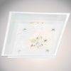 Obrazek Plafon 48310-1F KW P250