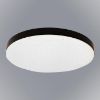Obrazek Plafon Sierra Black EK77851 15W SKY PL1