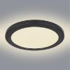 Obrazek Plafon 12379-24B LED 24W D30 czarny PL1