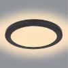 Obrazek Plafon 12379-24B LED 24W D30 czarny PL1