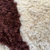 Obrazek Dywan Shaggy Sonic 0.8/1.5 Psr-9219 ivory/brown