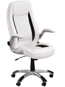 Obrazek Fotel gabinetowy Starun biały