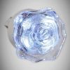 Obrazek Lampka wtykowa Kwiat HL993L 0,4W White