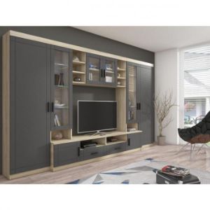 Obrazek Meblościanka Paris grafit/sonoma