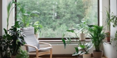 Jak zaaranżować pokój dla nastolatka w botanicznym stylu?