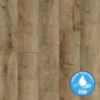 Obrazek  Panele podłogowe wodoodporne Dąb Narew 8mm AC5 Style WR 52605 