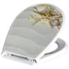 Obrazek Deska sedesowa LILIA foto shells multi