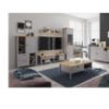 Obrazek Stolik RTV 1D1S Melini Gray B