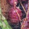 Obrazek Dywan Print Pera Cherie 0,8/1,5 05017(01)
