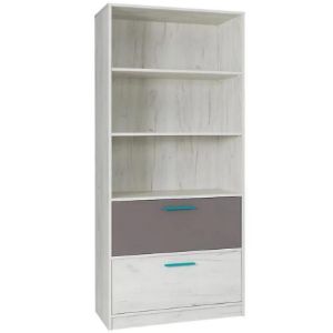 Obrazek Regał Rest R07 szeroki popiel/dąb biały 83/195