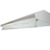 Obrazek Okap WK-7 P-3060 60 biały/gold