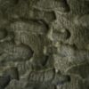 Obrazek Dywan Lima Rabbit Fur 1,4/1,9 MRD-642 zielony N 1 