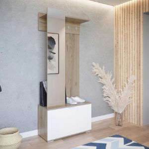 Obrazek Garderoba Reno country grey/biały