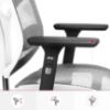 Obrazek Fotel Biurowy Diablo V-Basic Biały/Szary