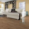 Obrazek Panele podłogowe Dąb Heatland 10mm AC6 Eurohome Residence+ K598