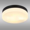 Obrazek Plafon Vranos 32112B PLD1