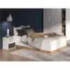 Obrazek Łóżko Torino 120+Stelaż Flx 1202 biały/dąb castello/grafit