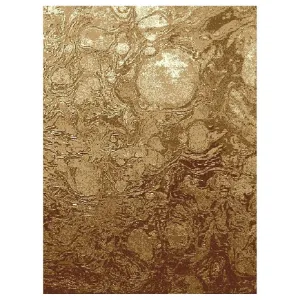 Obrazek Dywan Bcf New Shiraz 1,6/2,3 2001 4073 B55