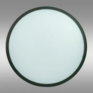 Obrazek Plafon LARA MAX VO2542 30W 4000K PL1