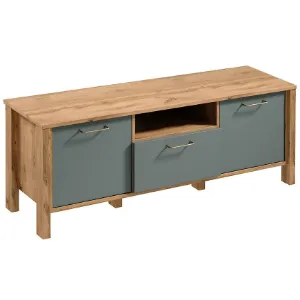 Obrazek Szafka RTV Indygo 1S dąb wotan-green