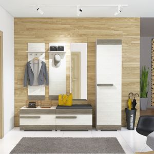 Obrazek Garderoba Blanco I Sosna Śnieżna/New Grey