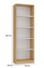 Obrazek Regał Basic 60 dąb artisan/biały