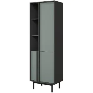 Obrazek Witryna Alsy 3 Aloes/Antracyt