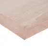 Obrazek Półka FSD 80/24 dąb fornirowany 6567028 00x235