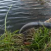 Obrazek Zestaw ssawno-tłoczny Aquatic Plus 7 m czarny