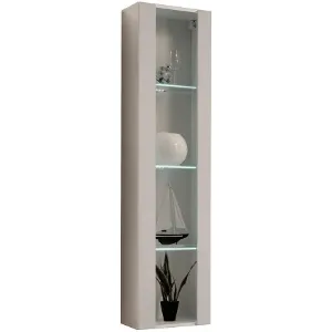 Obrazek Witryna FLY CC FY 41 kaszmir