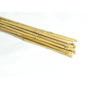 Obrazek Palik bambusowy 90 cm 08/10 mm  20 szt.