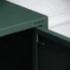 Obrazek Szafka RTV Metalowa Rosa Modern Bottle Green
