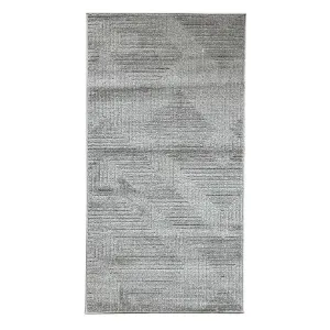 Obrazek Dywan Real 0,8/1,5 I198A ODK szary
