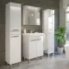 Obrazek Zestaw szafka z umywalką CAPRI D65 2D0S biały