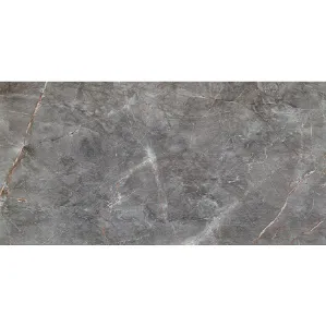 Obrazek Visine Grey Gloss 59,8/119,8