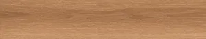 Obrazek Gironde Miel 22.5/119.5 RECT.