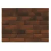 Obrazek Płytka cegłopodobna Retro brick Chili 245/65/8